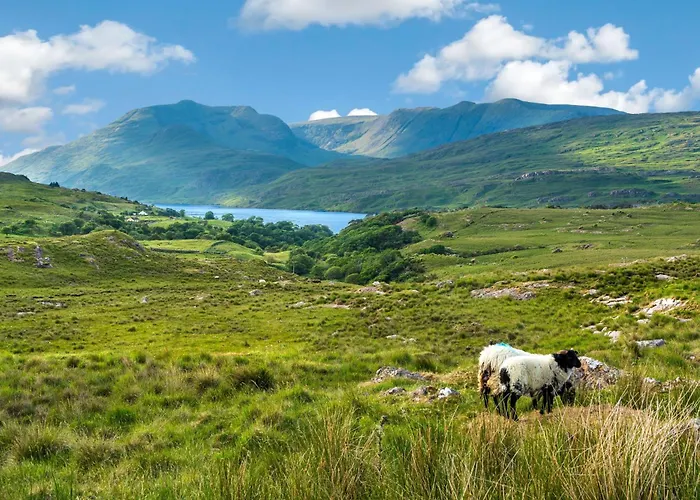 Дом отдыха 446 - Леттерфрак