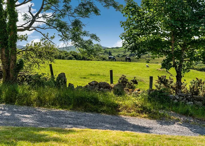 446 - Дом отдыха Леттерфрак